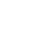 Home Shield Icon